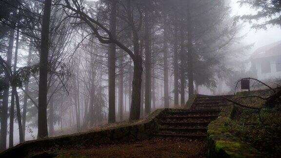 大自然之美迷雾缭绕迷雾森森
