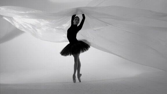 美丽的芭蕾舞演员在薄尼龙后面跳舞