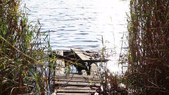 老塌的木码头上的河岸在芦苇的阳光下河岸的手在乌克兰的城市