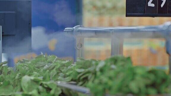 特写:农夫的柜台上放着香草、香料、沙拉和蔬菜绿色罗勒和龙蒿排在超市的柜台上蒸汽吹过绿叶4kProRes