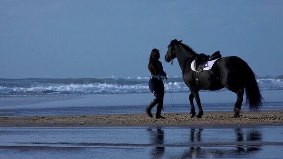 骑手在海滩上抚摸他的马