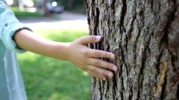 孩子抱着一棵心形的树