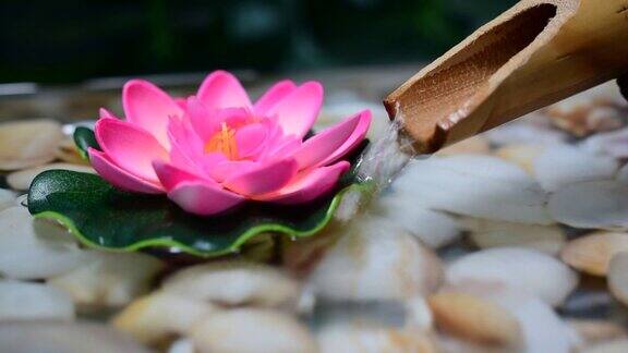 粉红莲花和竹槽流水