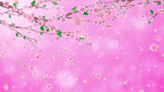 粉红色的樱花循环动画