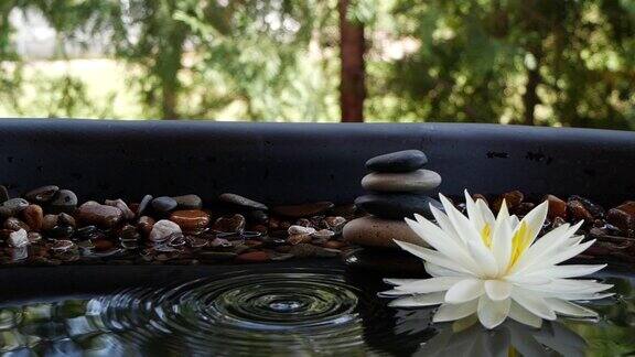 水滴在平衡石和白莲花附近落水的慢动作