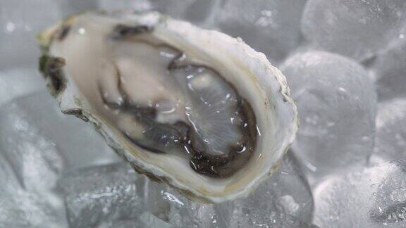 美味的半壳牡蛎放在透明的冰块上