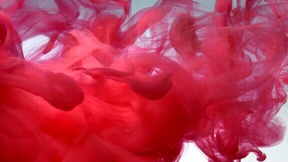 红色时尚的现代抽象背景红色水彩墨水在水中