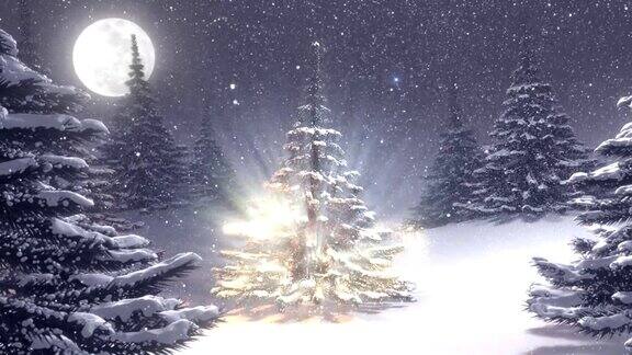 冬季景观与白色圣诞树装饰的北极星