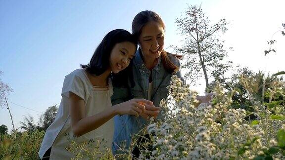 慢动作的快乐亚洲女孩看花与她的母亲在花田与阳光