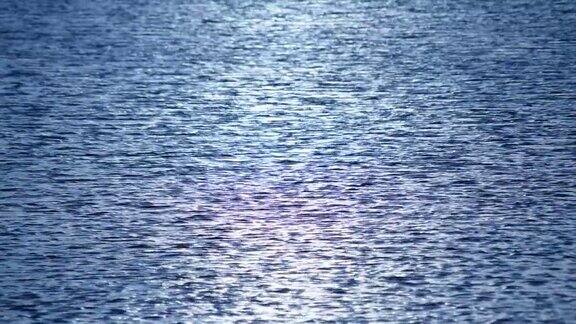 深蓝色的水面上荡漾着涟漪和阳光