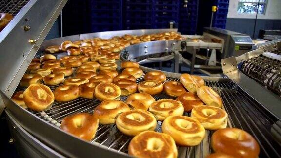 在面包房的工厂里制作新鲜又热又好吃的百吉饼-百吉饼在传送带上运输并分类