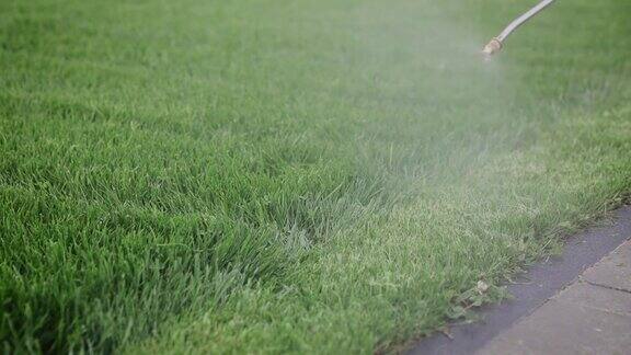 男子用液体化学喷雾器给住宅后院的草坪施肥庭园用化肥除草剂和杀虫剂喷洒草坪