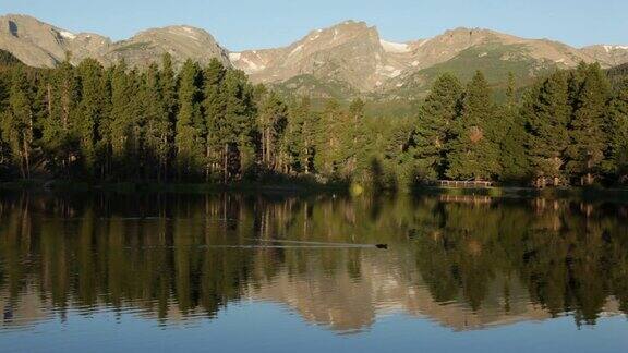 高清视频斯普拉格湖鸭子洛基山国家公园科罗拉多州