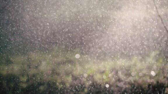 在阳光的背景下雨水或水溅起的小水花