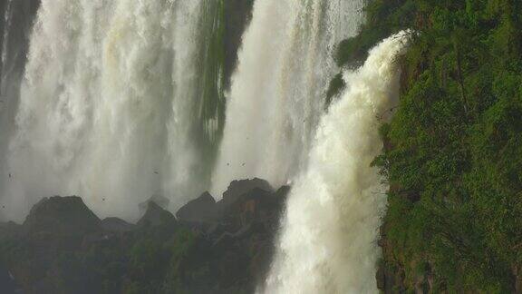 伊瓜苏瀑布在一个充满鸟类的夏天早晨近距离拍摄世界上最大的瀑布巴西-阿根廷RED电影摄影机镜头