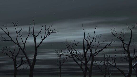 夜晚的枯树