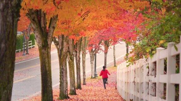 十几岁的女孩沿着人行道慢跑在美丽的秋天树叶树叶从树上落下