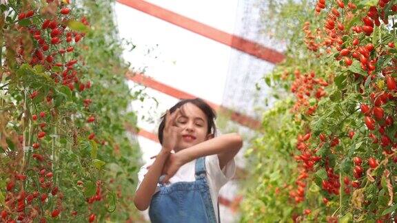 年轻女孩的面部表情在番茄农场转基因食品生物食品Alternativeifestyle概念飞吻你好和再见