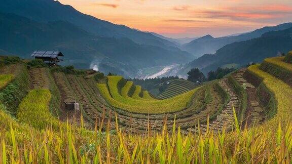 4K时间推移:越南梯田上的稻田-美丽的梯田在收获季节日落在木仓寨