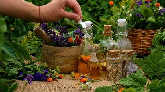 植物和草药酊剂和提取物有选择性的重点大自然