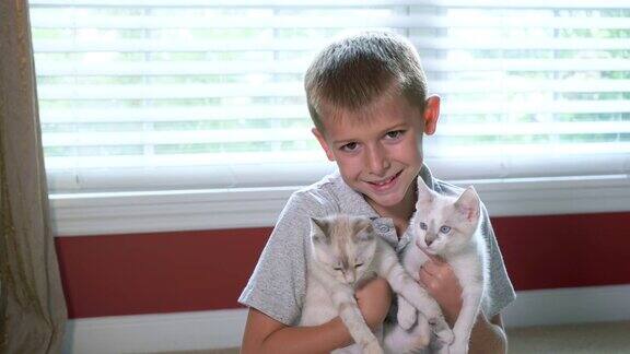 男孩抱着两只蓝眼睛的白色小猫