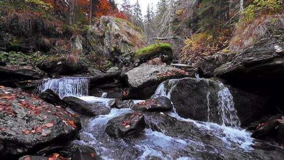 风景优美的河流在树林里与一个小瀑布在秋季拍摄高清