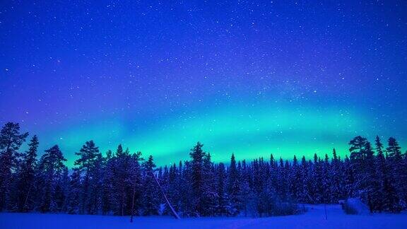 冬日森林上空的北极光时间流逝