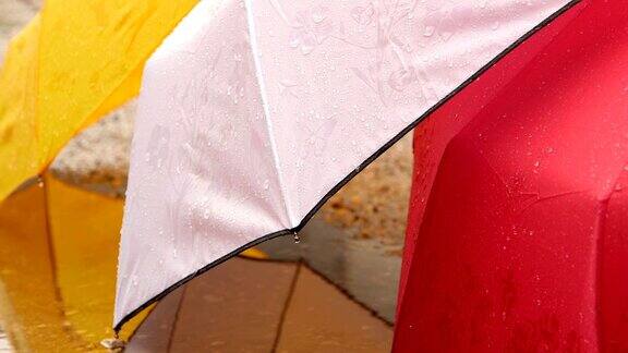 雨天湿漉漉的五颜六色的雨伞