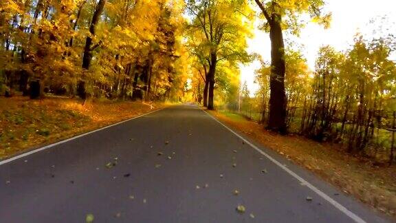 汽车驾驶在秋天与秋天颜色的树