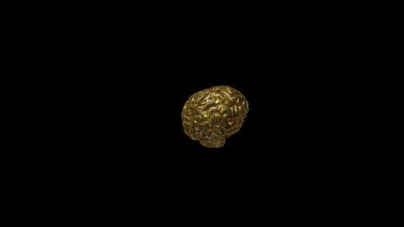 黄金的大脑