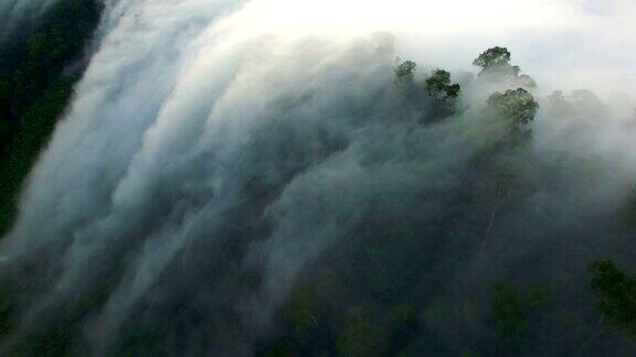 一波又一波的薄雾飘进了山麓