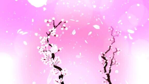 樱花盛开循环动画