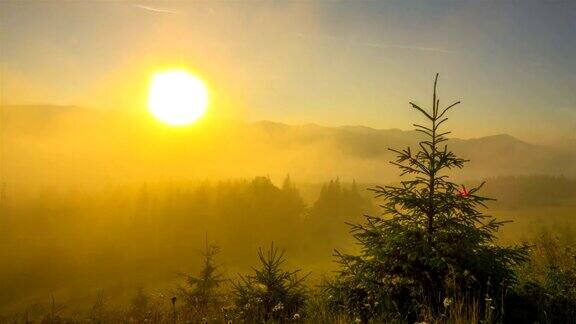 山中有雾的早晨