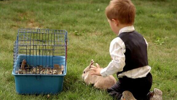 小男孩在草地上玩兔子
