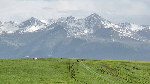 新疆伊犁哈萨克自治州喀拉君草原是典型的高寒五花甸天然草原