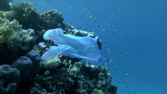 废弃的蓝色塑料袋在美丽的珊瑚礁上鱼群在附近的蓝色水域游泳塑料垃圾污染环境问题镜头慢慢向前移动塑料污染