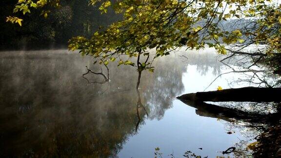 秋天乌克兰的一条小河上漂浮着晨雾