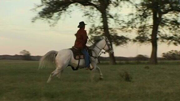 德克萨斯州牧场上的西班牙牛仔骑着白马
