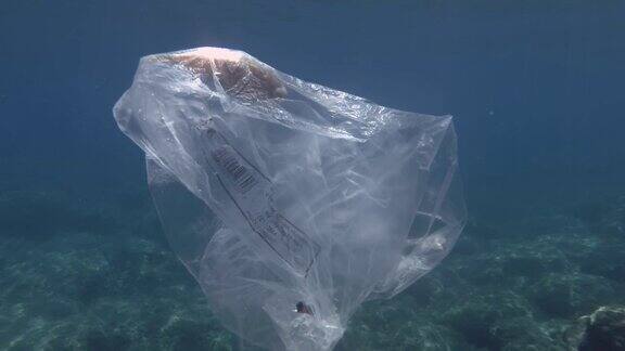 塑料污染河豚被困在塑料袋里撞死了废弃的透明塑料袋漂浮在蓝色的水面下里面装着死鱼水下拍摄地中海欧洲