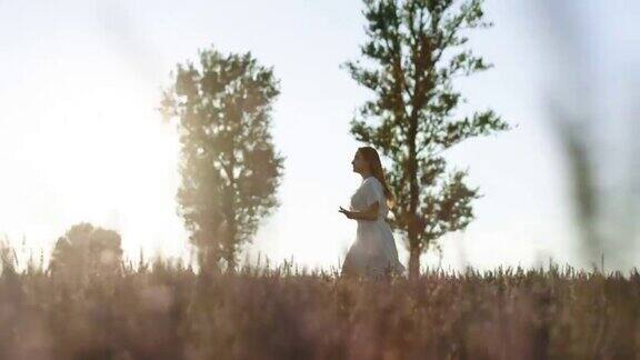 美丽的女人穿着白色的裙子在日落时穿过美丽的紫色薰衣草田金色的小时法国普罗旺斯薰衣草田的紫色芳香花