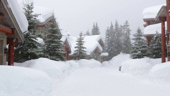 冬季暴风雪期间的住宅街道