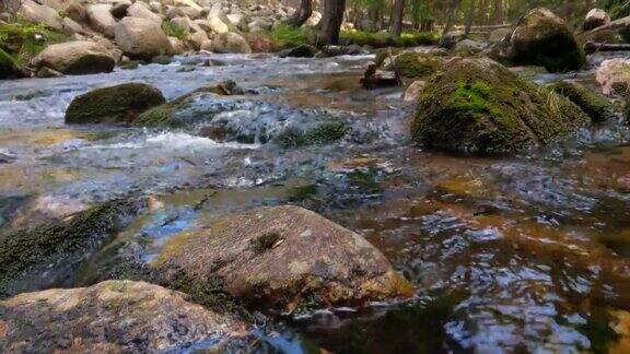 山涧里有冰冷清澈的水河水从石头上流过