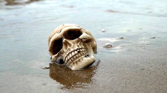 骷髅在海边河水被海浪冲刷