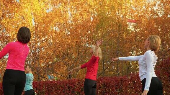 女子团体训练港德布拉斯运动在秋季公园女性在户外练习瑜伽女子练习瑜伽健身桔子树在城市公园