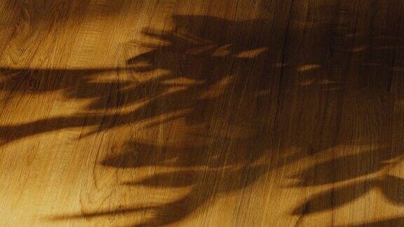 风吹过的树叶阴影覆盖在木地板背景上