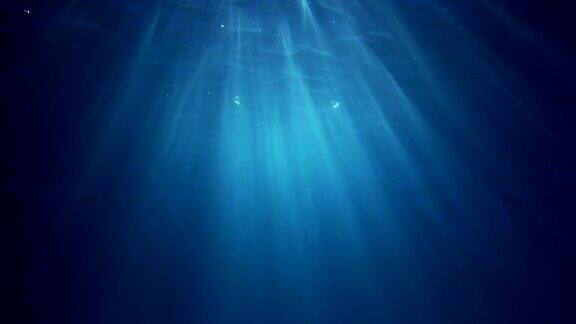 水下的光线反射