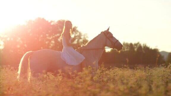 慢镜头:日出时美丽的女孩骑着白马在盛开的粉红色田野里