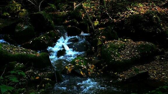 缓缓的莫潘森林小溪在秋天