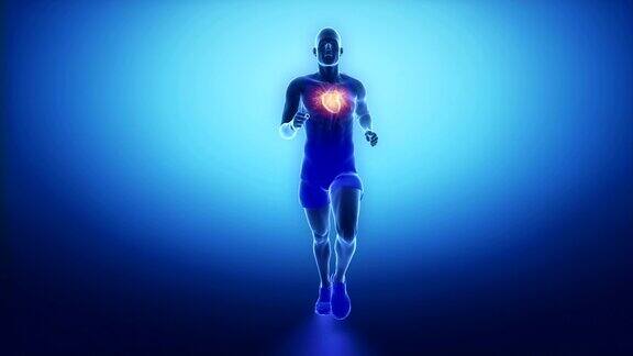 跑步人的心脏扫描在慢动作