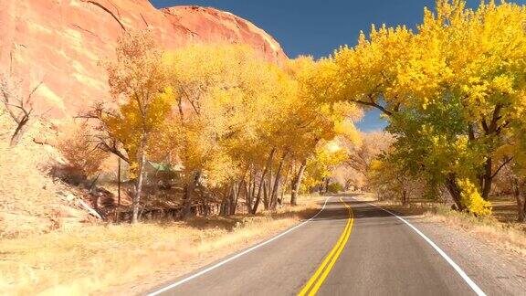 FPV:在秋季CapitolReef峡谷中穿越令人惊叹的黄色树隧道